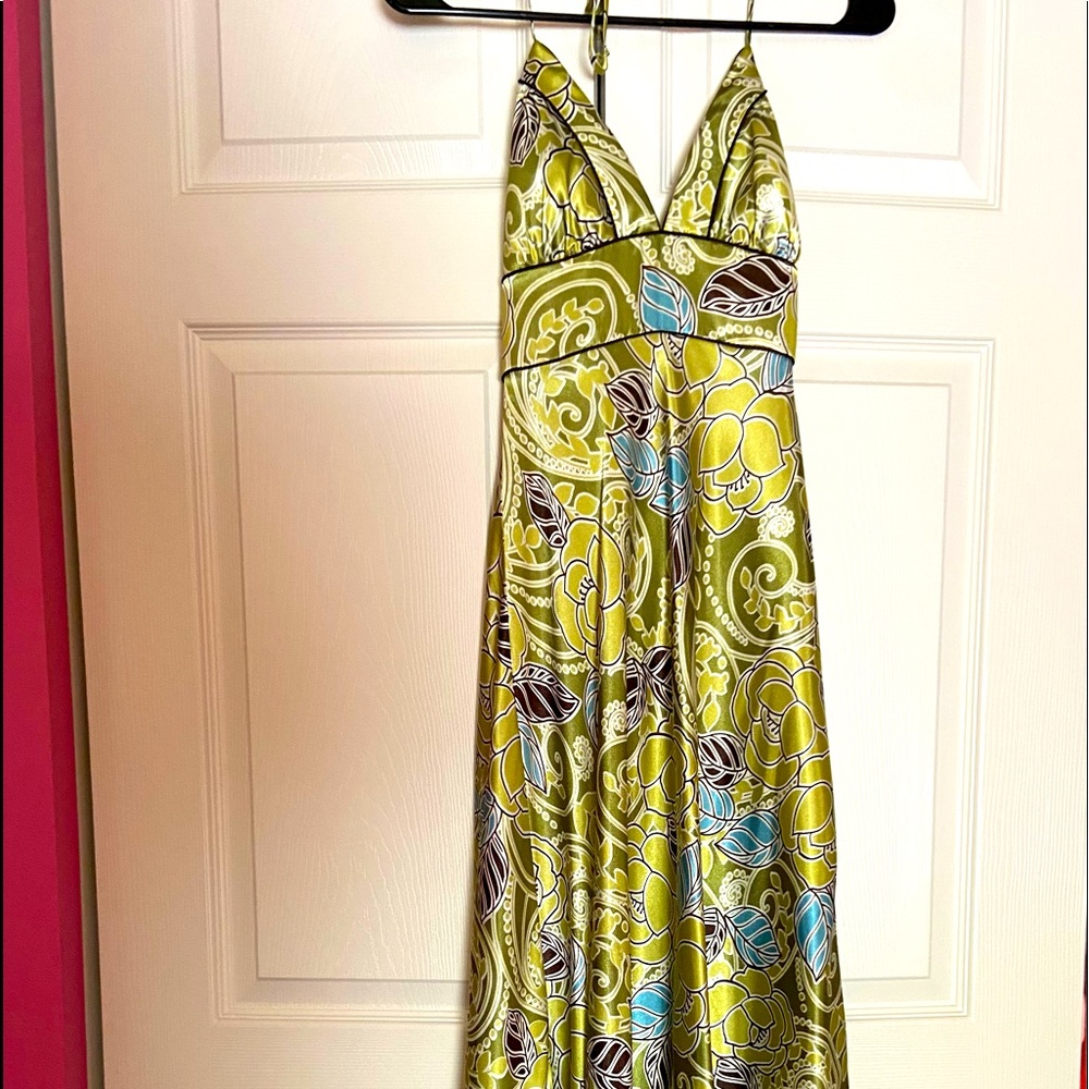 Miss Bison Floor Length Dress